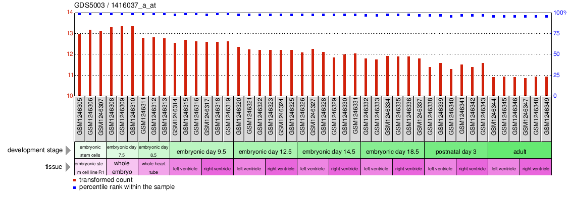 Gene Expression Profile