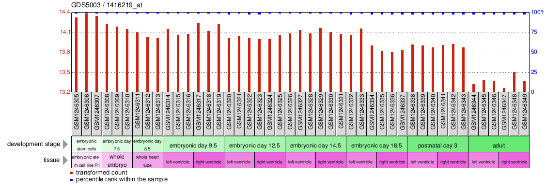 Gene Expression Profile