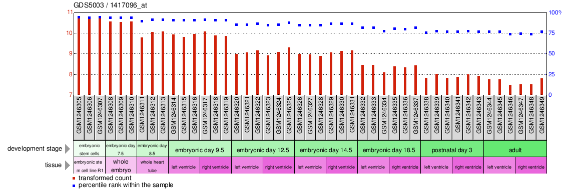 Gene Expression Profile