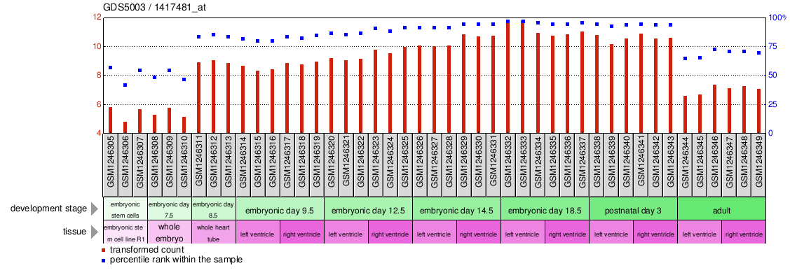 Gene Expression Profile