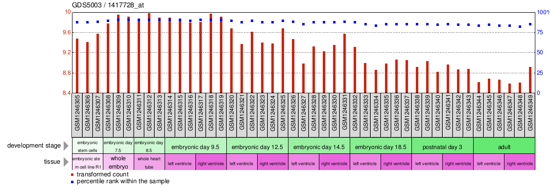 Gene Expression Profile