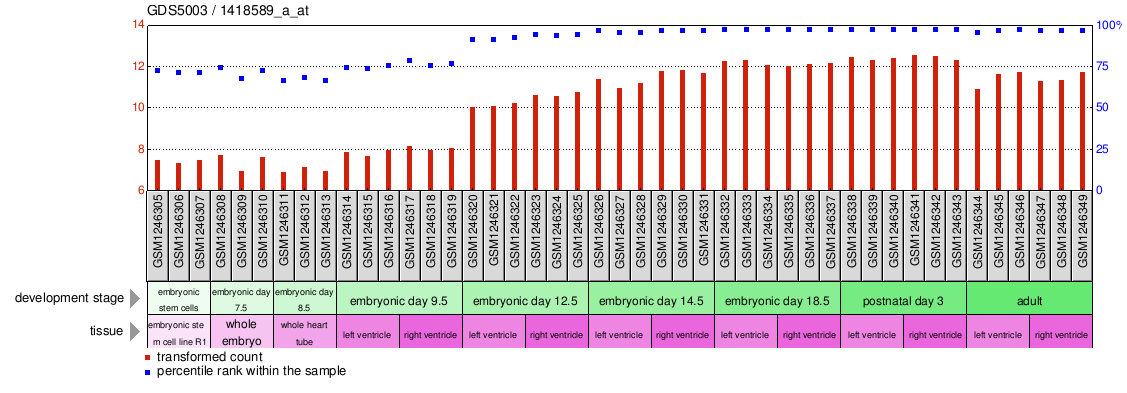 Gene Expression Profile