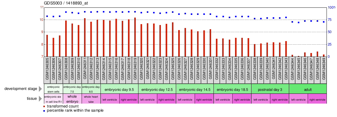 Gene Expression Profile