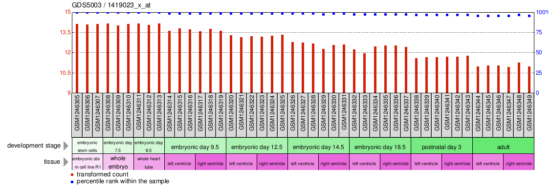 Gene Expression Profile