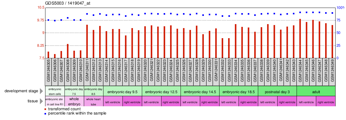 Gene Expression Profile