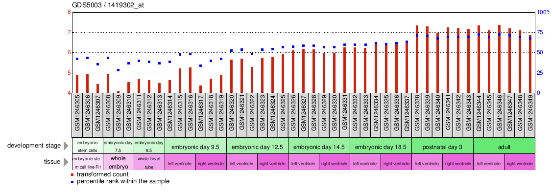 Gene Expression Profile