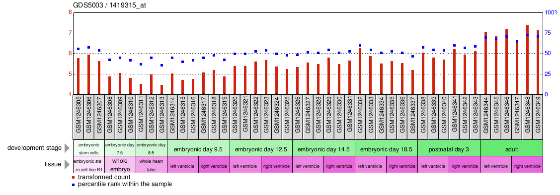 Gene Expression Profile