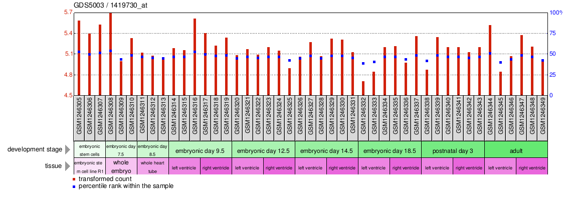 Gene Expression Profile