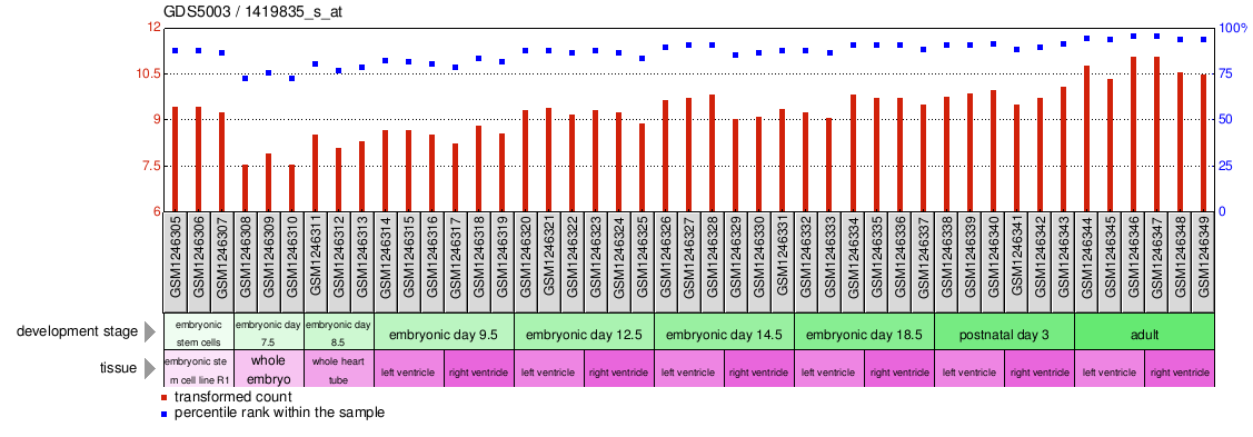 Gene Expression Profile