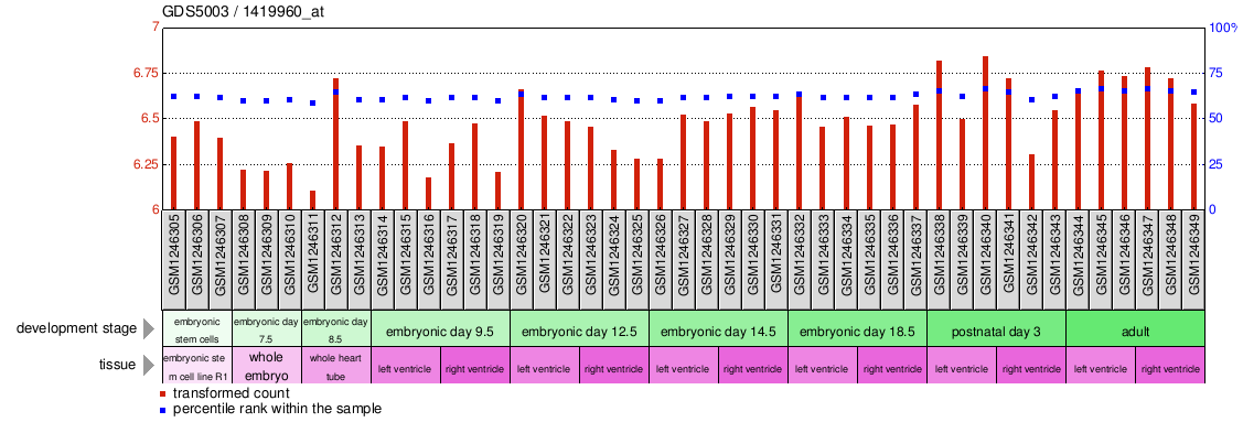 Gene Expression Profile