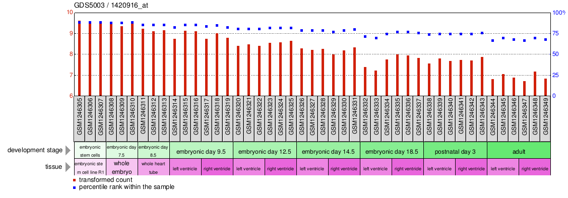 Gene Expression Profile