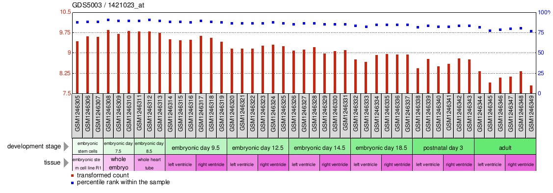 Gene Expression Profile