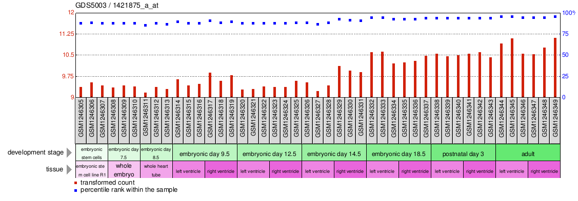 Gene Expression Profile