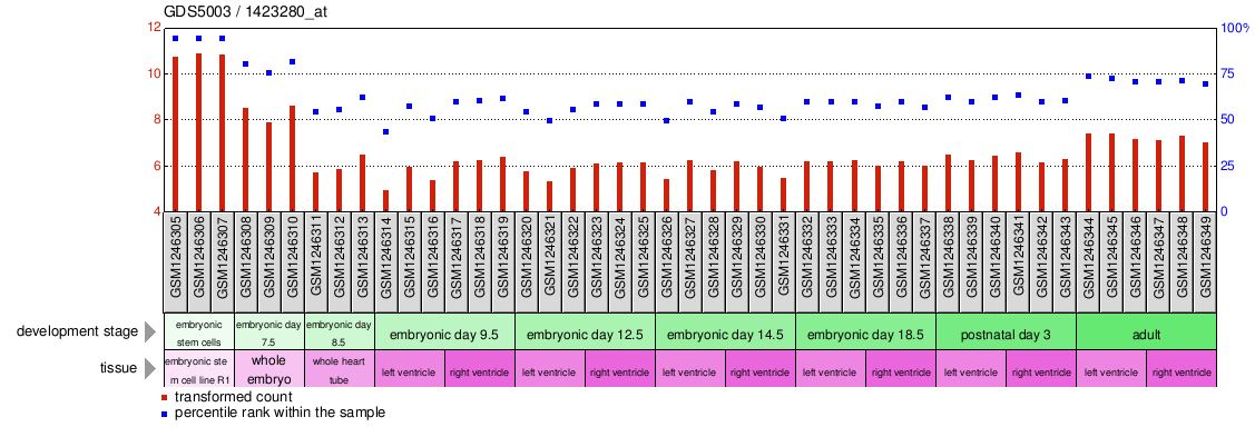 Gene Expression Profile