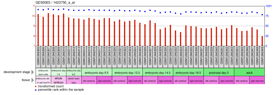 Gene Expression Profile