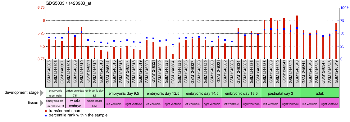 Gene Expression Profile