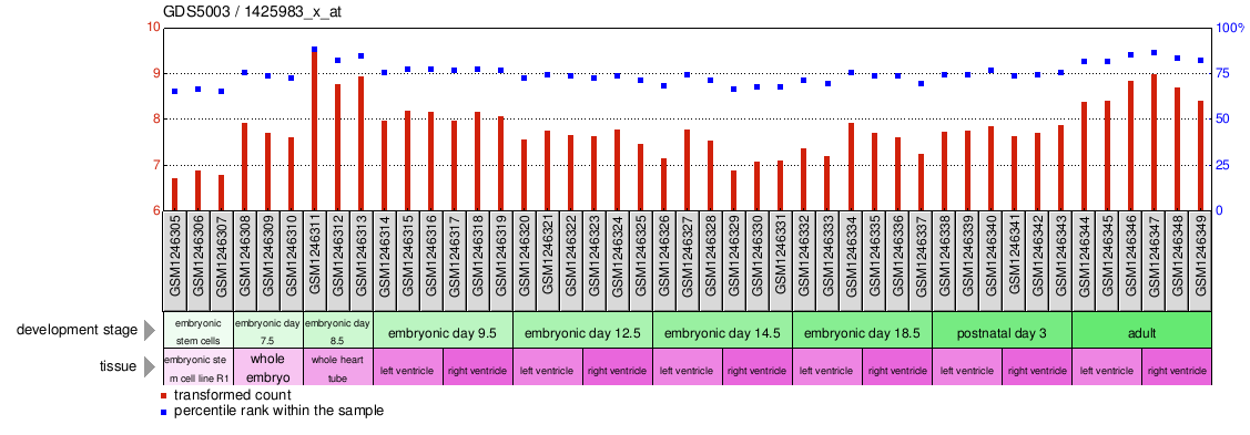 Gene Expression Profile