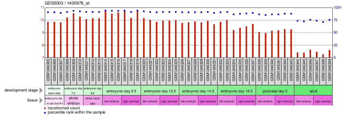 Gene Expression Profile