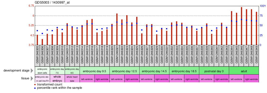 Gene Expression Profile