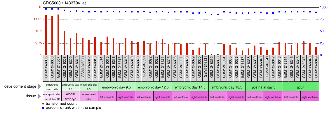 Gene Expression Profile