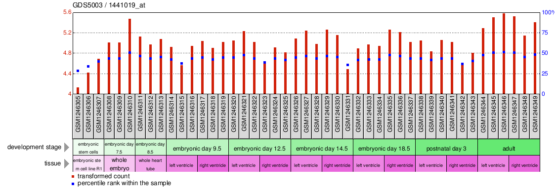 Gene Expression Profile