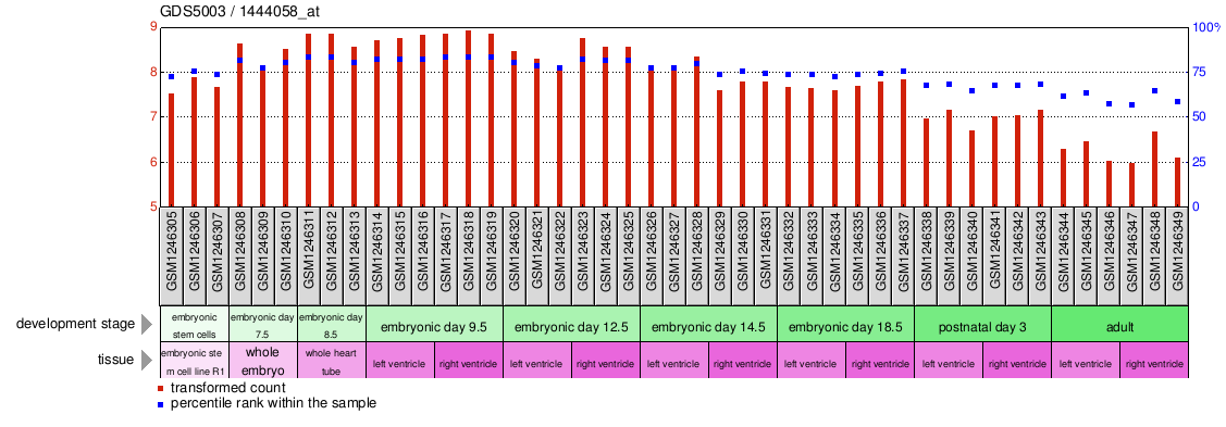 Gene Expression Profile