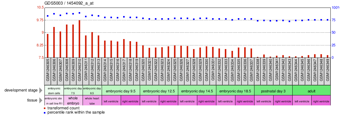 Gene Expression Profile