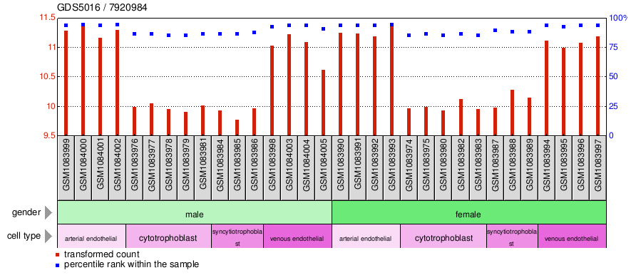 Gene Expression Profile