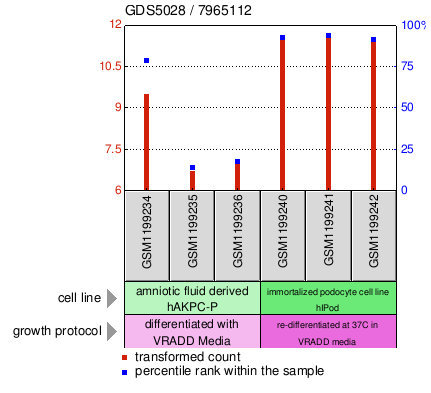 Gene Expression Profile