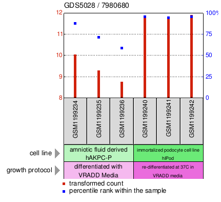 Gene Expression Profile