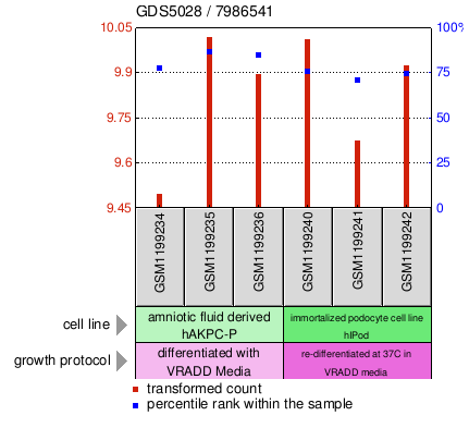 Gene Expression Profile