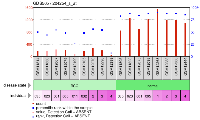 Gene Expression Profile