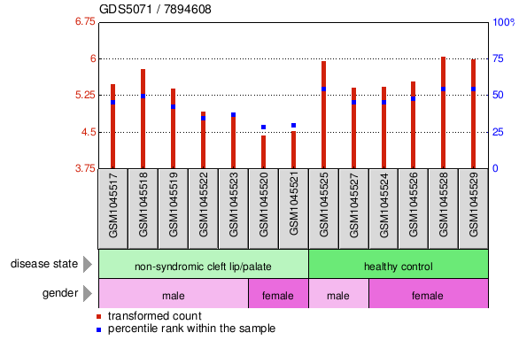 Gene Expression Profile