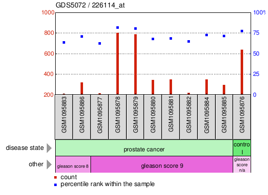 Gene Expression Profile