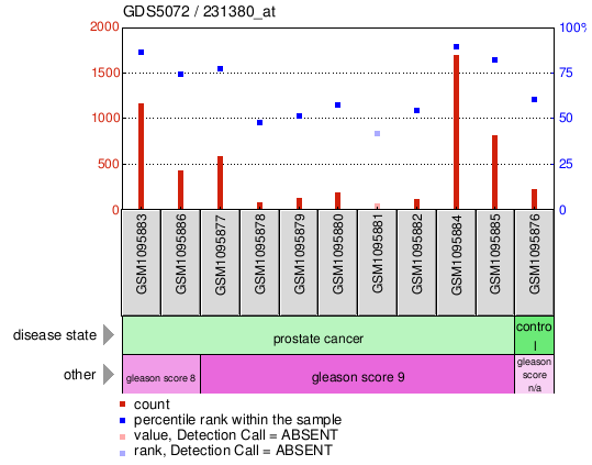 Gene Expression Profile