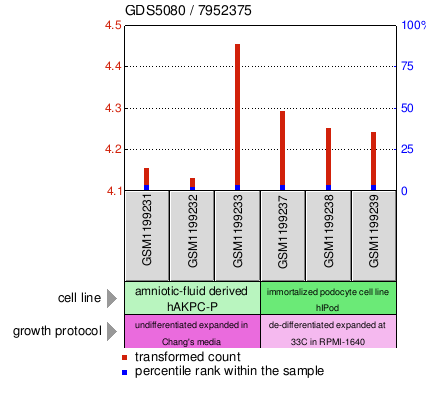 Gene Expression Profile