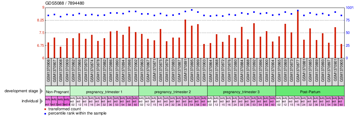 Gene Expression Profile