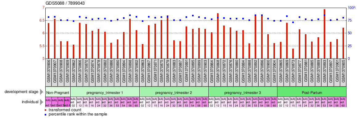 Gene Expression Profile