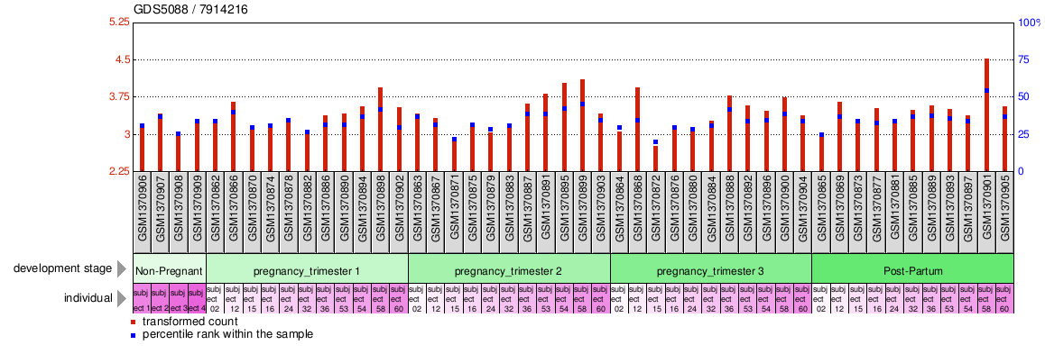 Gene Expression Profile