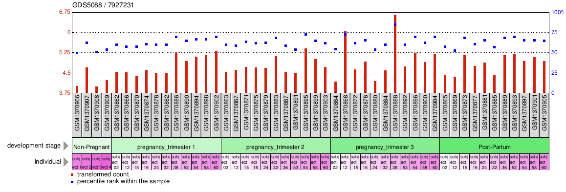 Gene Expression Profile