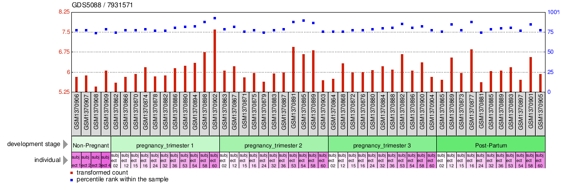 Gene Expression Profile