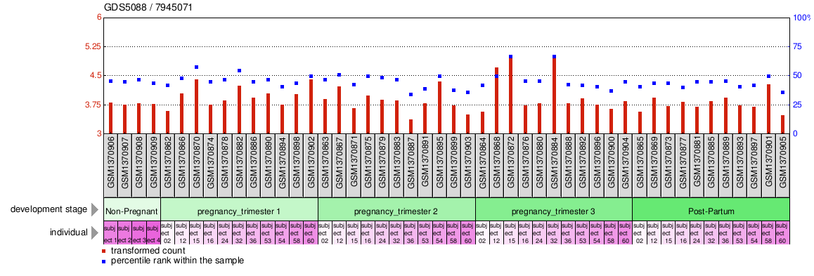 Gene Expression Profile