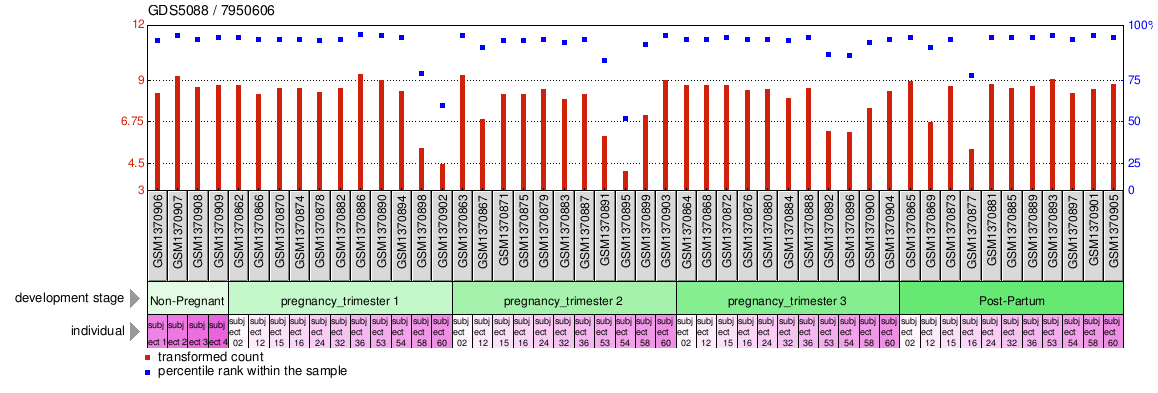 Gene Expression Profile