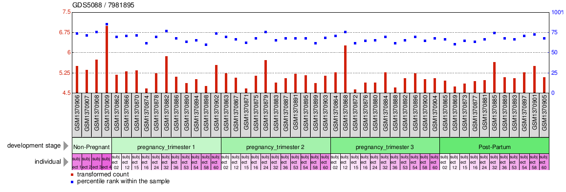 Gene Expression Profile