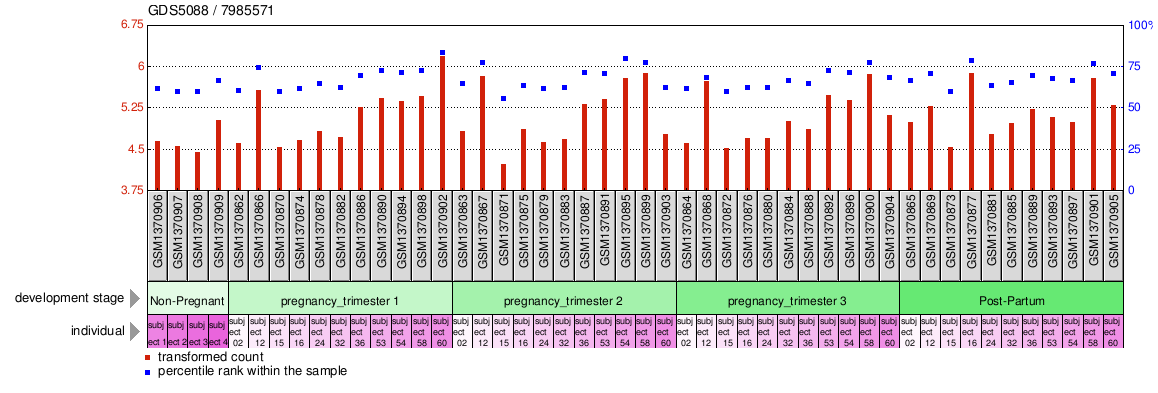 Gene Expression Profile