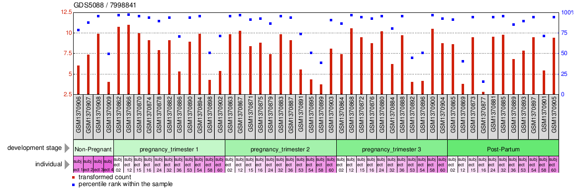 Gene Expression Profile