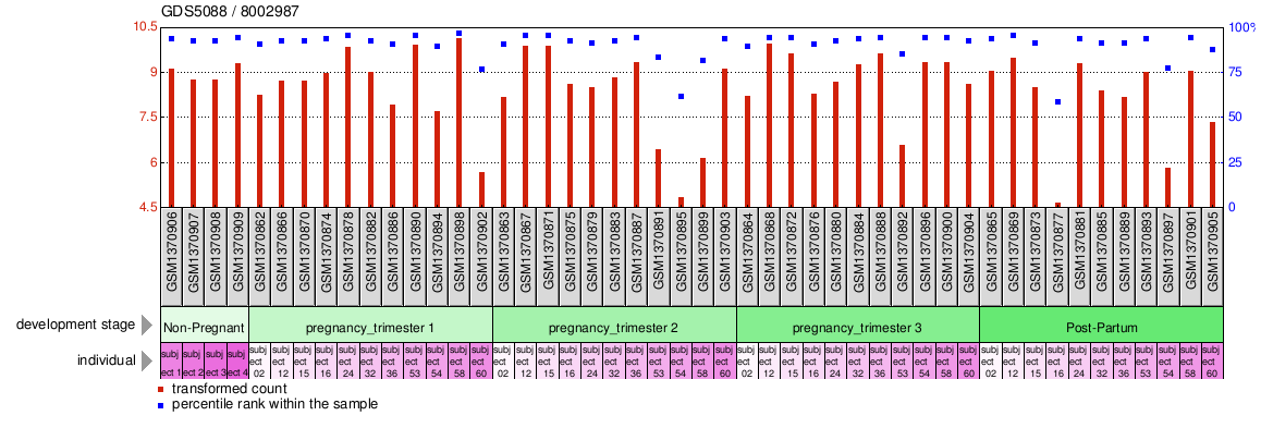 Gene Expression Profile