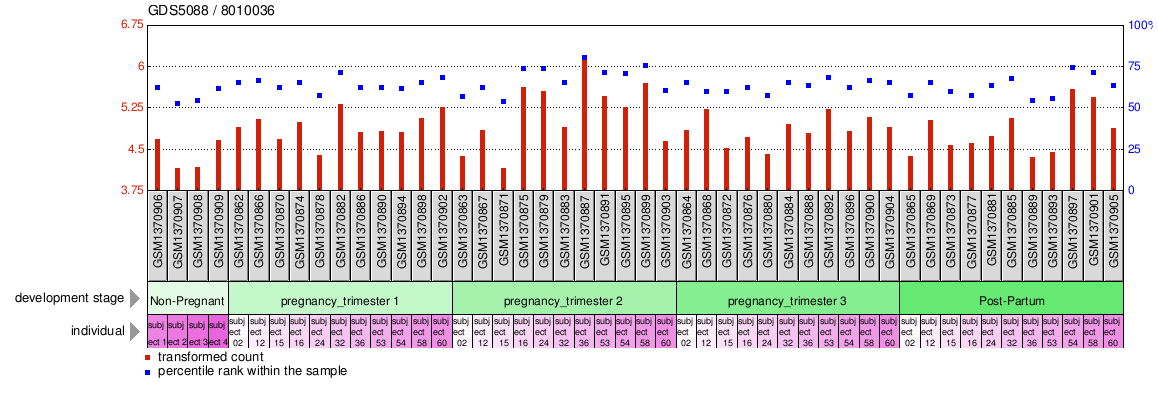 Gene Expression Profile