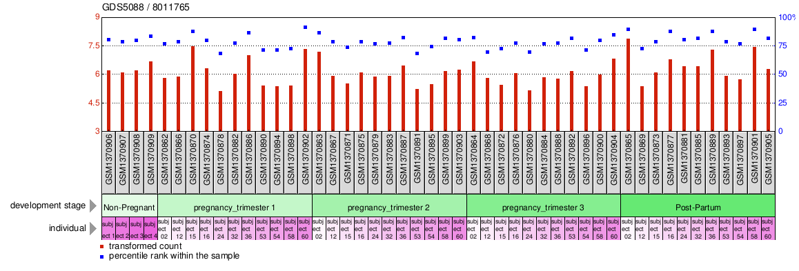 Gene Expression Profile