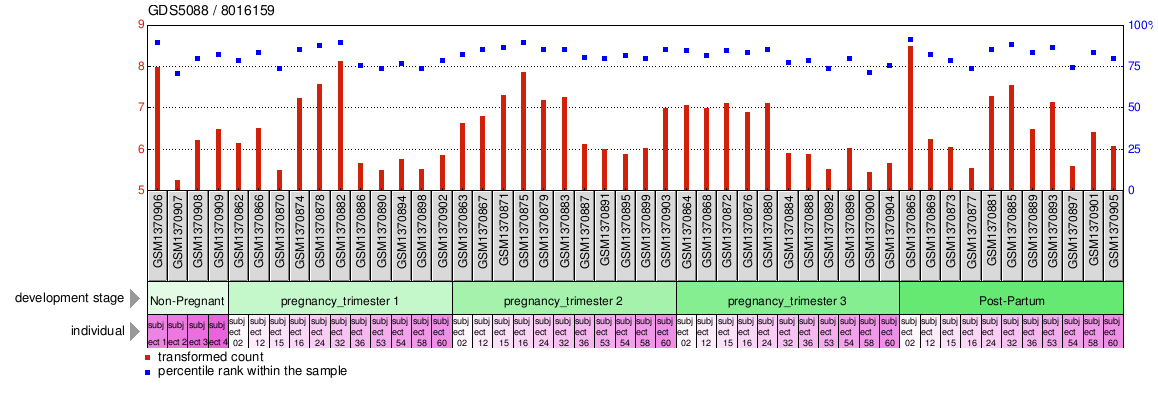 Gene Expression Profile